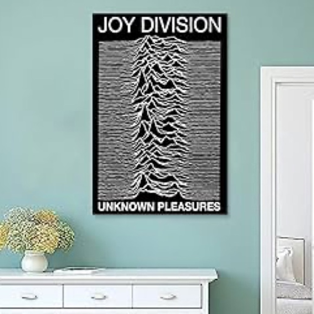 🖤Trad Goth Joy Division Unknown Pleasures Poster🖤